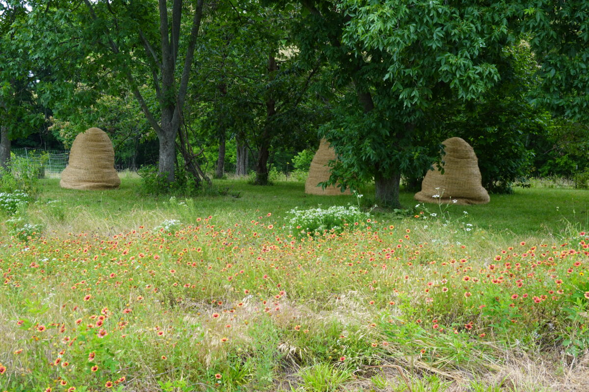 Hay sculpture in meadow